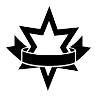 等级.png
